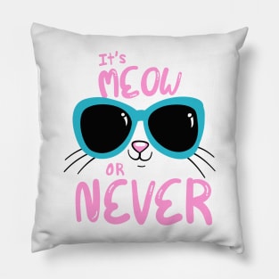 Meow or Never Pillow