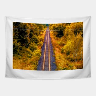 Sunset Tracks Tapestry