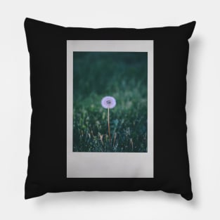 Dandelion Instant Photo (Puffball) Pillow