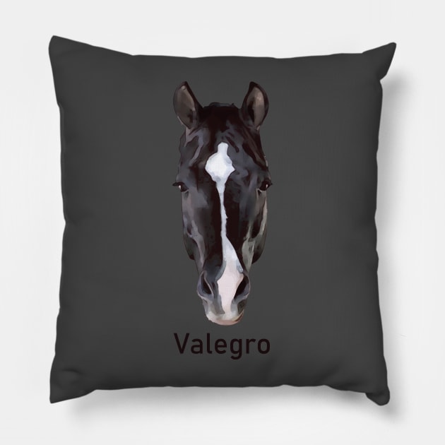 Valegro Face Marking with Name Pillow by Lakeric