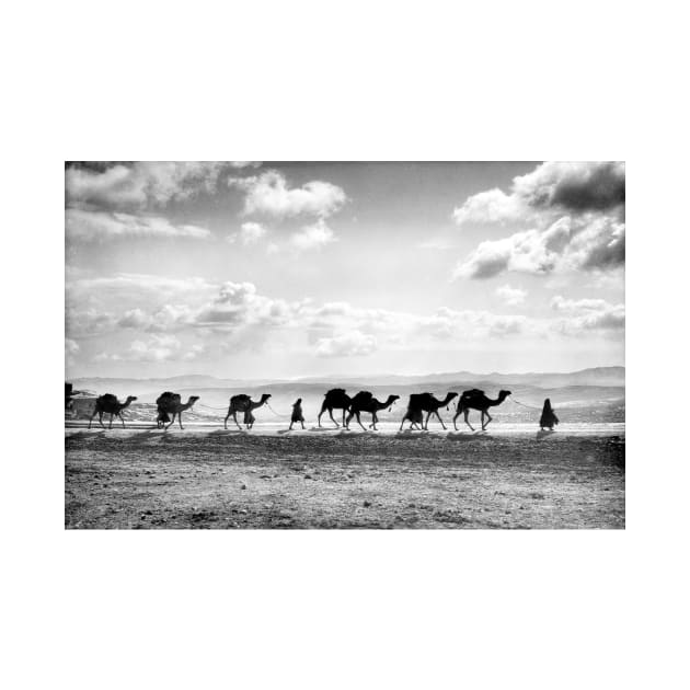 Egyptian Camel Caravan Near Olivet, Jerusalem 1918 by rocketshipretro