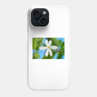 Clematis terniflora var. mandshurica	Manchurian clematis Phone Case