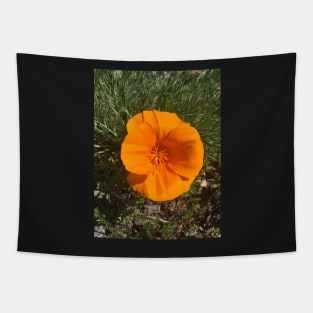 California Poppy Tapestry