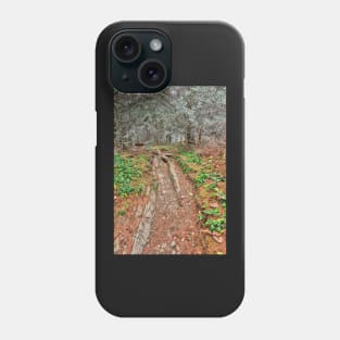 Frosted Appalachian Trail Phone Case