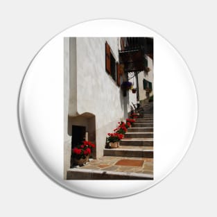 Geraniums on Stepped Street Pin