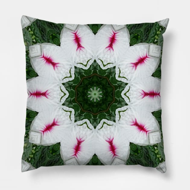 Mandala Kaleidoscope in White, Green, and Pink Pillow by Crystal Butterfly Creations