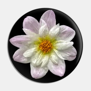 Pretty purple white yellow Dahlia Botanical Bee Flower Annual Pin