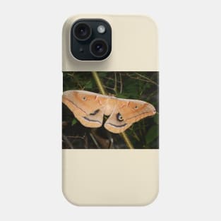 Moth Insect Bug Close Up Nature Photography Wildlife Phone Case