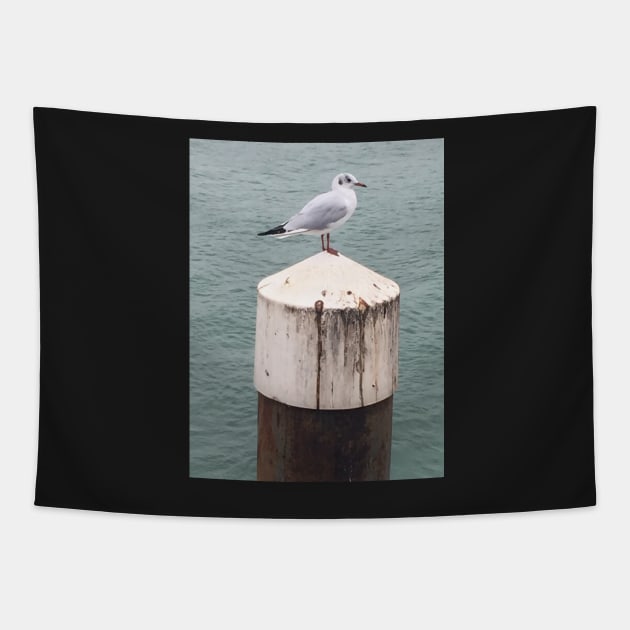 Seagulls by the Sea searching for Fish and Chips Tapestry by Bucklandcrafts