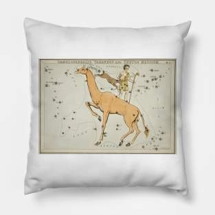 Camelopardalis Constellation Pillow