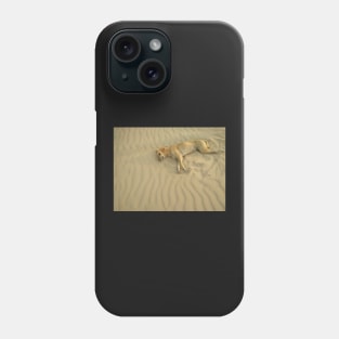 dog on sand Phone Case