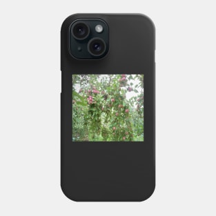 Apple orchard Phone Case