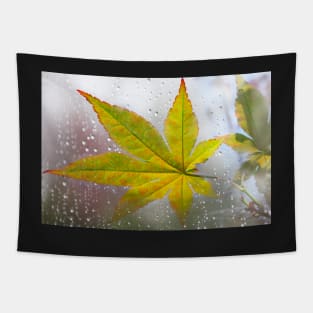 Maple Leaf in Autumn Day Tapestry