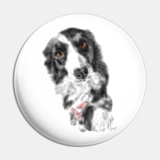 I Want Your Paw Border Collie Pin