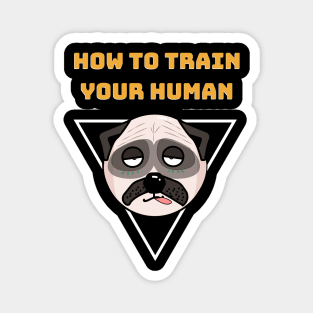 How To Train Your Human Magnet