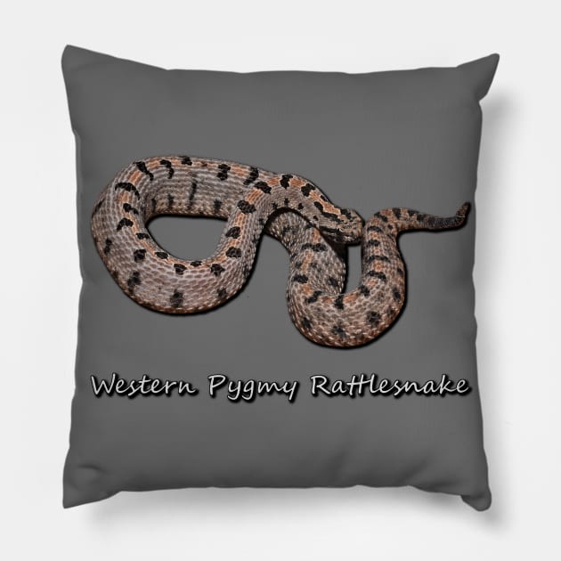 Western Pygmy Rattlesnake Pillow by Paul Prints