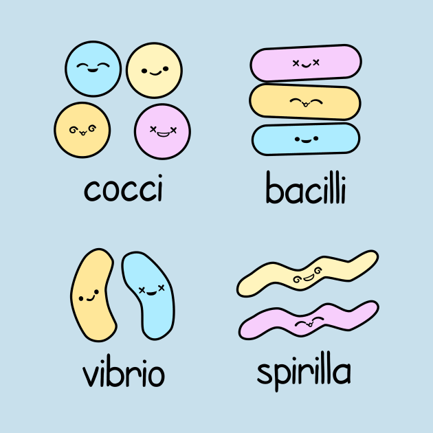 Kawaii Bacteria Classification by donovanh