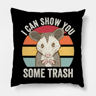 I Can Show You Some Trash Cute Opossum Pillow