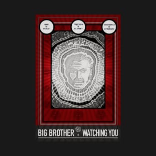 BIG BROTHER IS WATCHING YOU T-Shirt