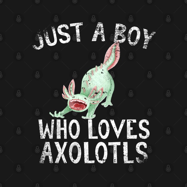 Just A Boy Who Loves Axolotls by simonStufios