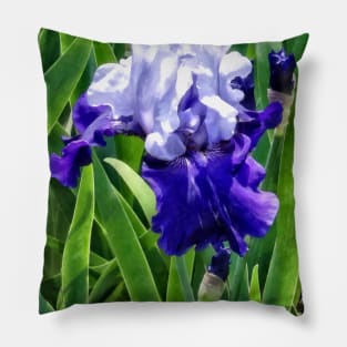 Irises - Iris Best Bet Pillow