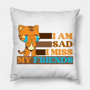 I am sad I miss my friends Pillow