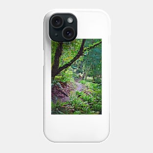 Winding Trail Phone Case