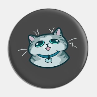 Smooshed Kitty Pin