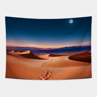 Pathway in Desert Sands Under Moonlight Tapestry