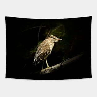 Young night heron Tapestry