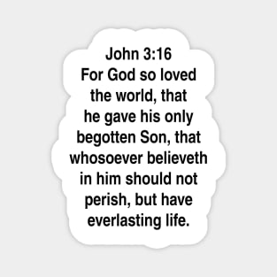 John 3:16  King James Version (KJV) Bible Verse Typography Magnet