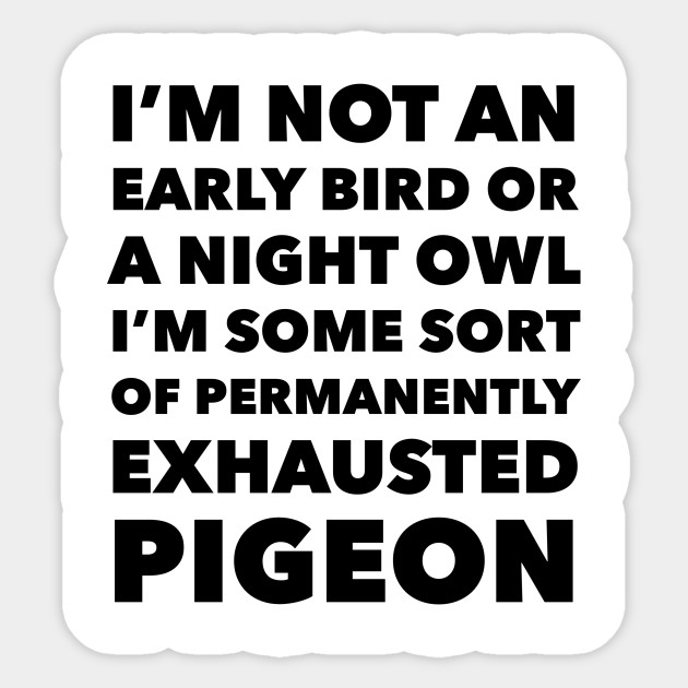 I M Not An Early Bird Or A Night Owl I M Some Sort Of Permanently