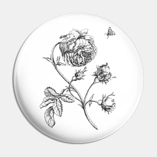 Rose Flower Vinatge Botanical Illustration Pin