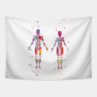 Muscular System Tapestry