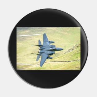 F15 Pin