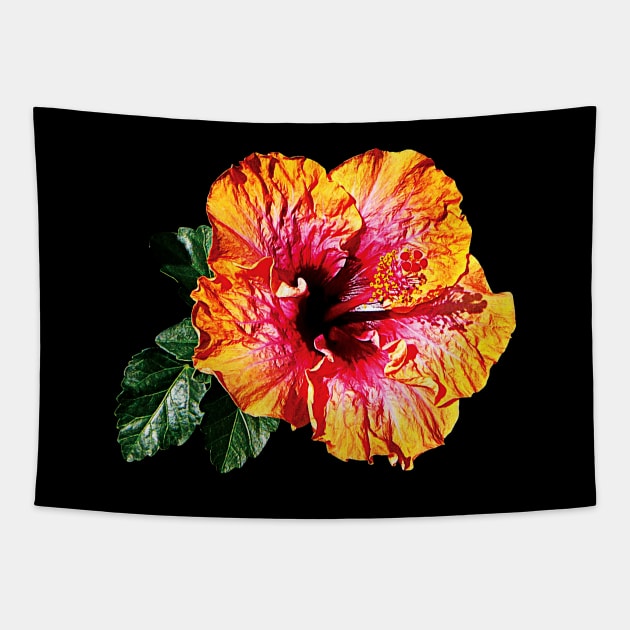 Hibiscus - Orange and Red Hibiscus Tapestry by SusanSavad