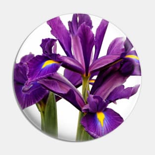 Elegant Dutch Iris Purple Sensation Pin