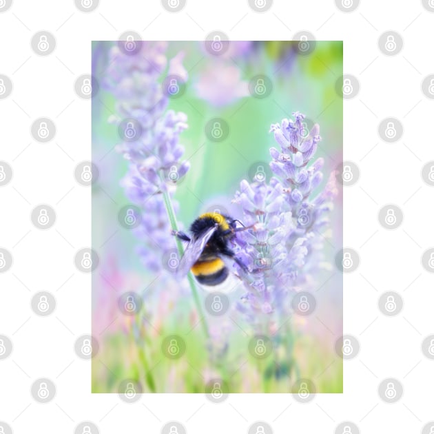 Summer Meadow Bumble Bee by Amanda Jane