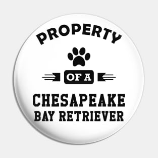 chesapeake bay retriever - Property of a chasapeake bay retrievers mom Pin