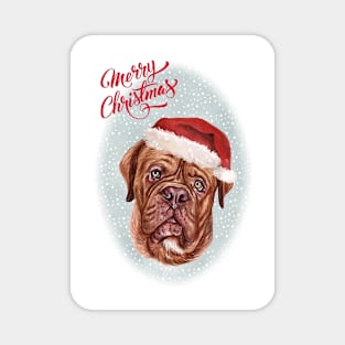 Dogue de Bordeaux Christmas Greeting Magnet