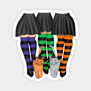 Three Witches Wearing Long Stripe Socks and Two Cats Magnet