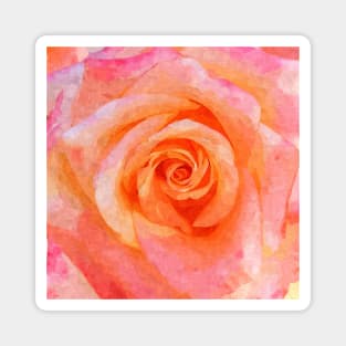 Soft Pink Rose Shabby-chic Flower Watercolor Magnet