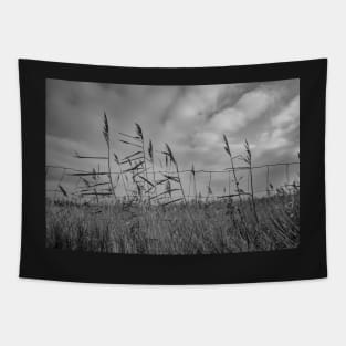Norfolk reed bed Tapestry