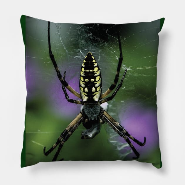 Garden Spider Pillow by DylanArtNPhoto