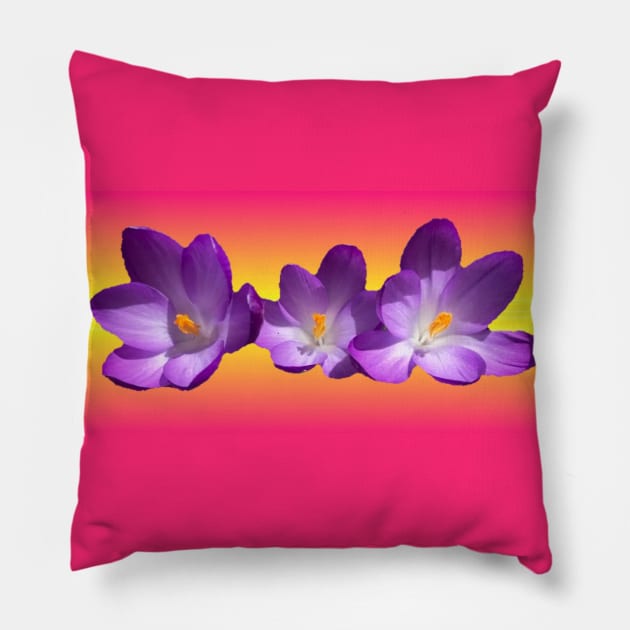 Tropical Sunset Pillow by Amanda1775