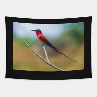 Southern Carmine Bee-eater (Merops nubicoides) Tapestry