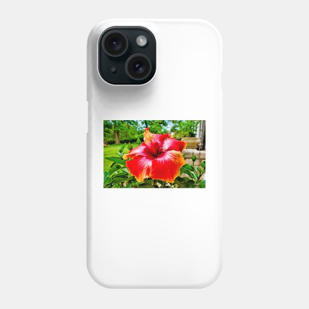 LB Floral Study 1 Phone Case by bobmeyers