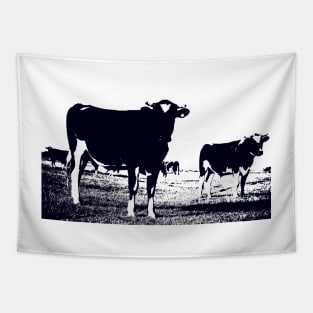 Black and white Friesian cows in field in Southland New Zealand. Tapestry