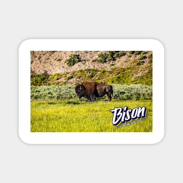 Bison at Yellowstone Magnet by Gestalt Imagery