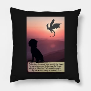 Following the Dragon Pillow